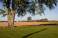 Click Here to see the photo!