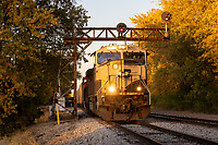 Click Here to see the photo!