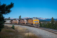 Click Here to see the photo!