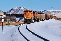 Click Here to see the photo!