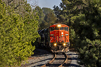 Click Here to see the photo!