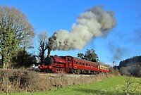 Click Here to see the photo!