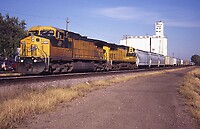 Click Here to see the photo!