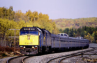 Click Here to see the photo!