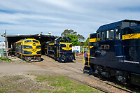 Click Here to see the photo!