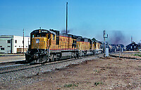 Click Here to see the photo!