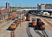 Click Here to see the photo!