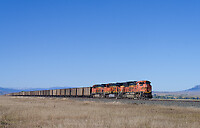 Click Here to see the photo!