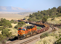 Click Here to see the photo!