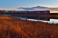 Click Here to see the photo!