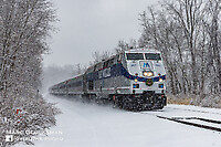 Click Here to see the photo!