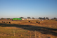 Click Here to see the photo!