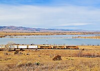 Click Here to see the photo!