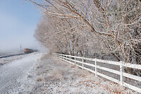 Click Here to see the photo!