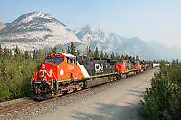 Click Here to see the photo!