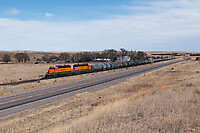 Click Here to see the photo!