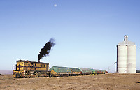 Click Here to see the photo!