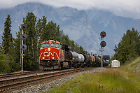 Click Here to see the photo!