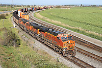 Click Here to see the photo!