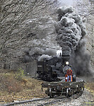 Click Here to see the photo!