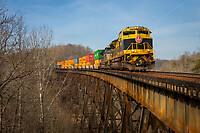 Click Here to see the photo!