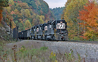 Click Here to see the photo!