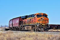 Click Here to see the photo!