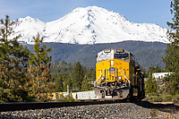 Click Here to see the photo!