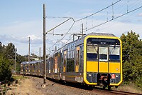 Click Here to see the photo!