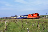 Click Here to see the photo!