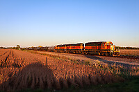 Click Here to see the photo!