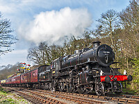 Click Here to see the photo!