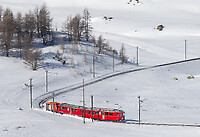 Click Here to see the photo!