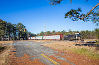 Click Here to see the photo!