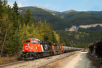 Click Here to see the photo!