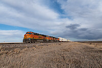 Click Here to see the photo!