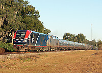 Click Here to see the photo!