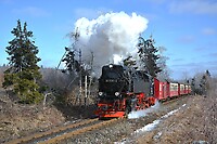 Click Here to see the photo!