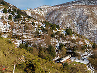 Click Here to see the photo!