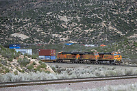 Click Here to see the photo!