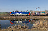 Click Here to see the photo!