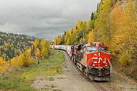 Click Here to see the photo!