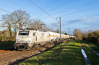 Click Here to see the photo!