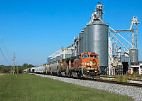 Click Here to see the photo!