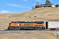 Click Here to see the photo!