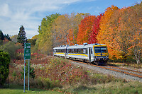 Click Here to see the photo!