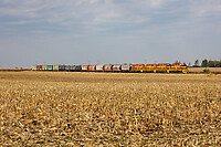 Click Here to see the photo!