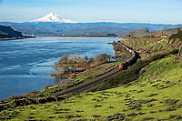 Click Here to see the photo!