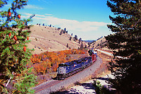 Click Here to see the photo!