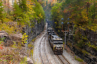 Click Here to see the photo!